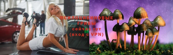 дурь Бородино