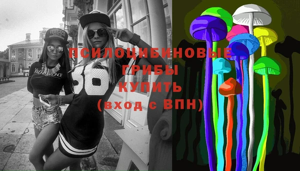 шишки Бугульма