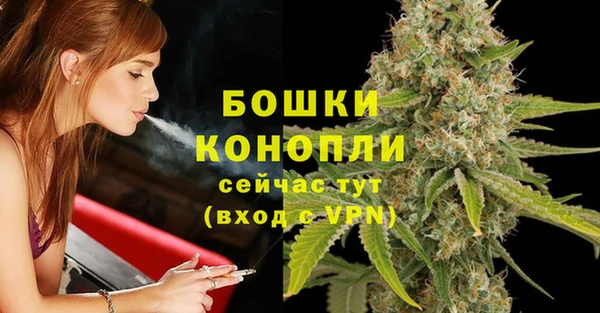 дурь Бородино