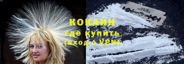 дурь Бородино