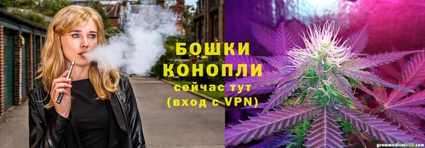 дмт Бронницы
