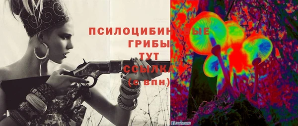 шишки Бугульма
