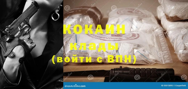 дурь Бородино
