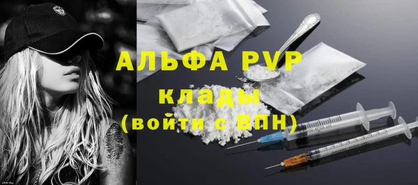 дурь Бородино