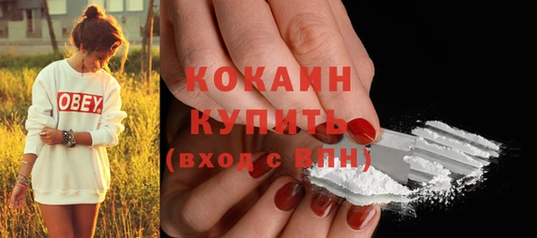 шишки Бугульма