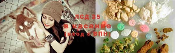 шишки Бугульма