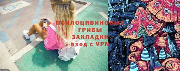 дмт Бронницы