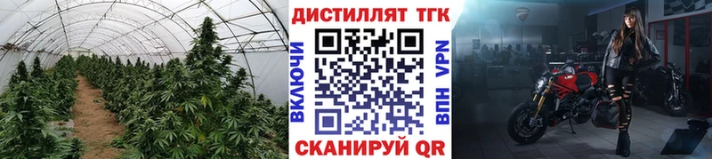 ТГК концентрат Курган