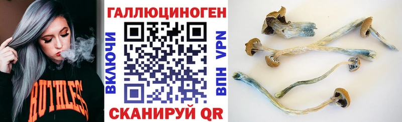 наркотики  Курган  omg ссылка  Галлюциногенные грибы ЛСД 